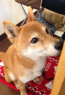 20130320_2.jpg