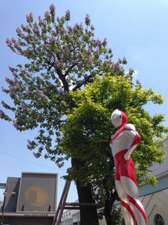 20130504_2.jpg