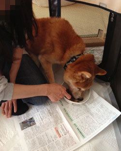 20130506_2.jpg
