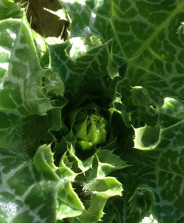 20130707_1.jpg