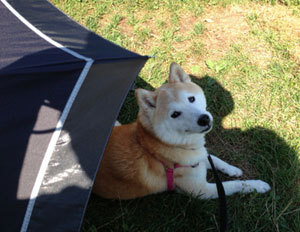 20130812_4.jpg