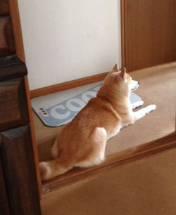 20130814_7.jpg