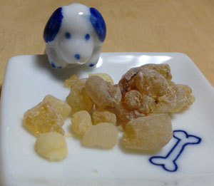 20130927_2.jpg