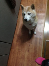 20131022_2.jpg