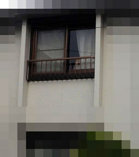 20131102_2.jpg