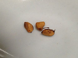 20131116_3.jpg
