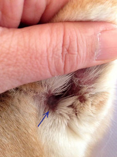 20131129_4.jpg
