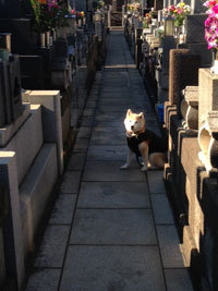 20131231_6.jpg