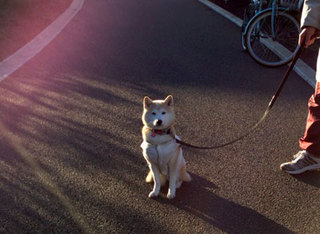 20140119_1.jpg