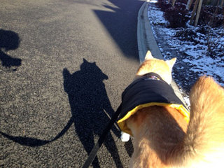 20140205_01 .jpg