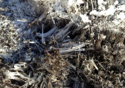 20140205_02.jpg