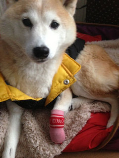 20140210_4.jpg