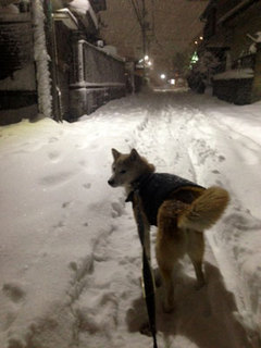 20140214_4.jpg
