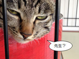u搶Hv
