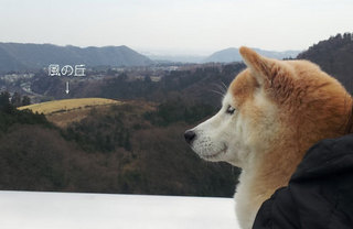 20140329_112001.jpg