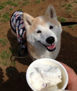 20140329_13.jpg