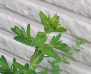 20140514_1.jpg