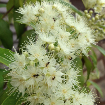 20140717_4.jpg