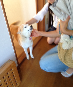 20140806_2.jpg