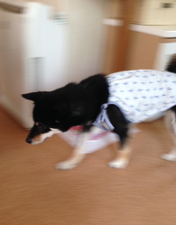 20140818_1.jpg