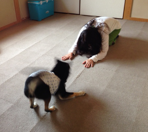 20140818_6.jpg