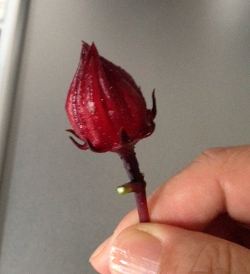 20140910_5.jpg