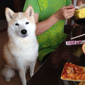 20140922_3.jpg