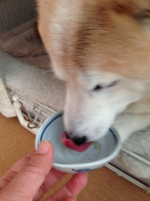 20150117_6.jpg