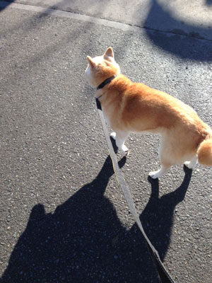 20150206_1.jpg