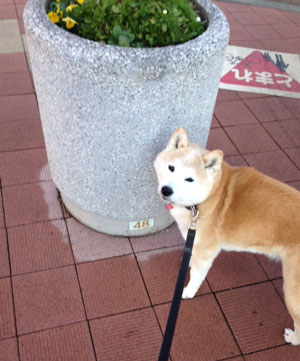 20150207_3a.jpg