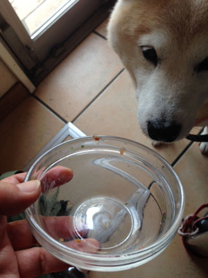 20150212_5.jpg