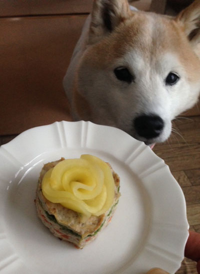 20150214_5.jpg