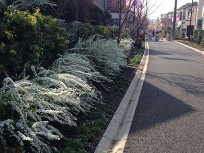 20150322_7.jpg