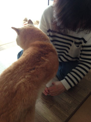 20150401_1.jpg