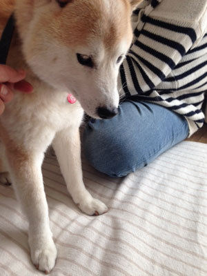 20150401_2.jpg
