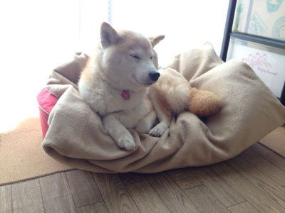20150401_3.jpg