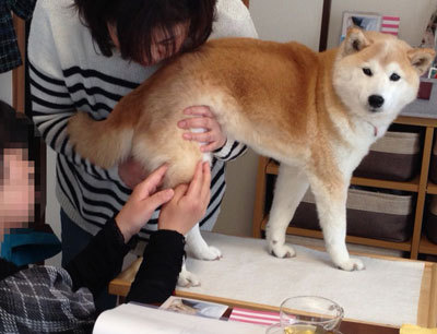 20150401_5.jpg