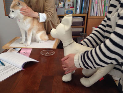 20150401_6.jpg