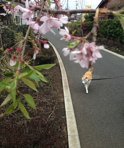 20150404_6.jpg
