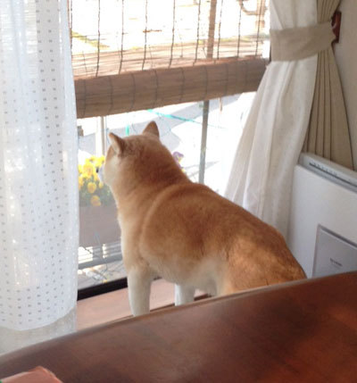 20150406_1.jpg