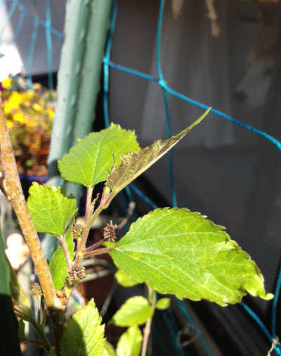 20150406_2.jpg