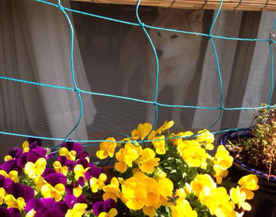 20150406_3.jpg