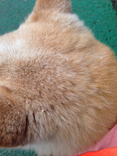 20150408_1.jpg