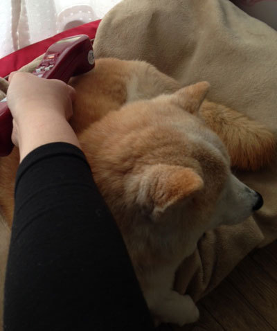 20150408_2.jpg