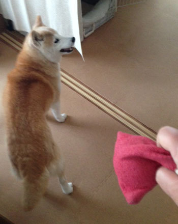 20150421_3.jpg