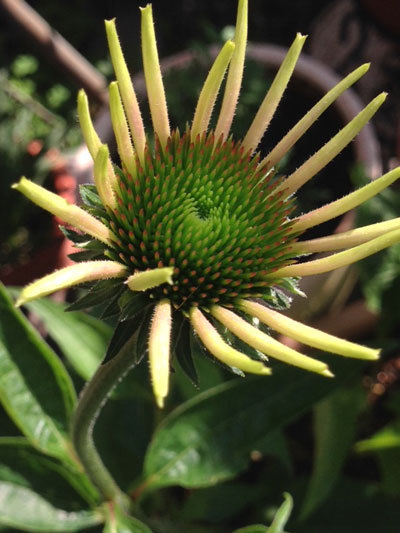 20150620_11.jpg