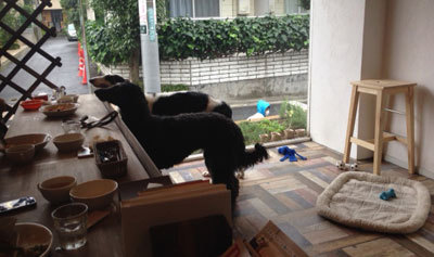 20150621_3.jpg