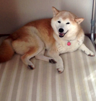 20150624_2.jpg