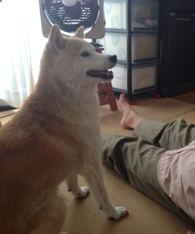 20150718_12.jpg