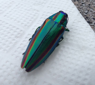 20150720_7.jpg